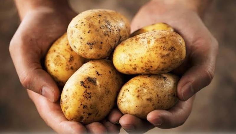 artappels