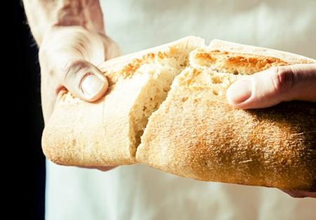 brood breek