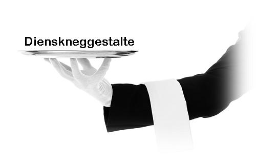 Dienskneg