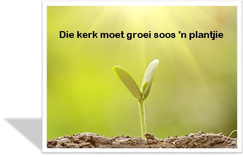 plantjie