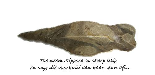 skerp klip