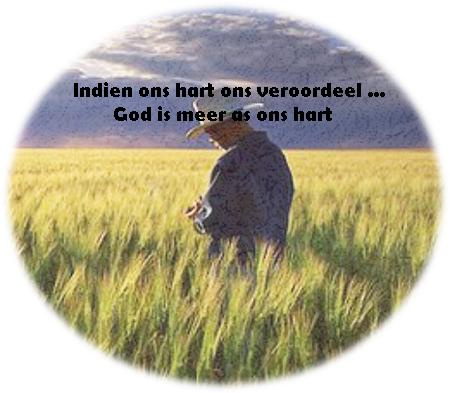 man in veld