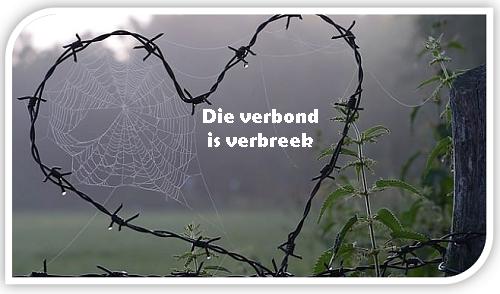 web