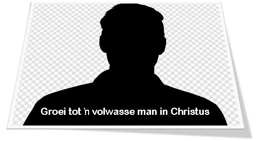 volwasse man