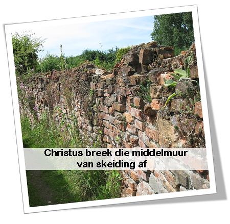 muur