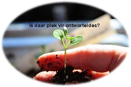 ontwortel