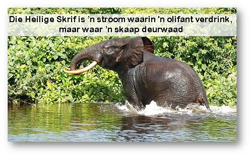 olifant